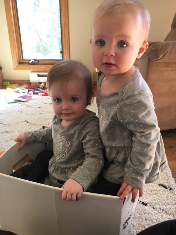 The Double Cart | Duluth Moms Blog