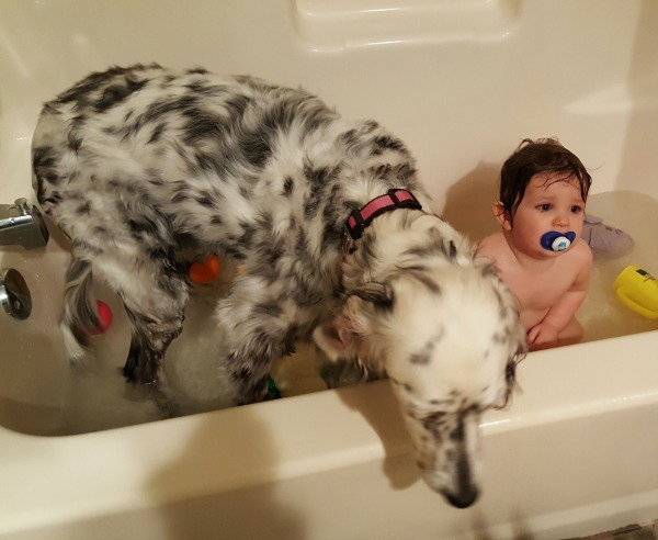 Bath Time Is The Absolute Worst | Duluth Moms Blog