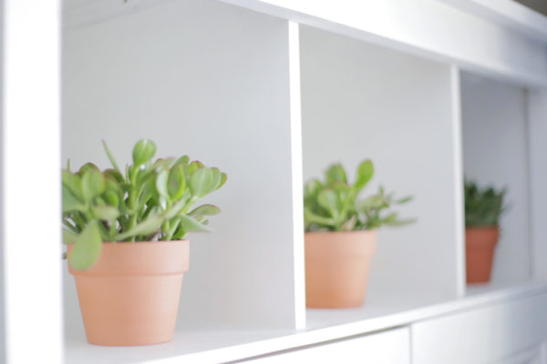 Ten easy and affordable ways to spruce up your spaces! | Duluth Moms Blog
