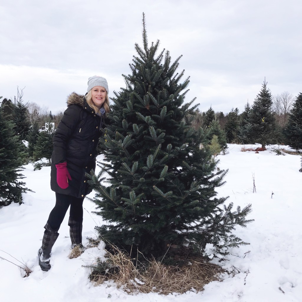 Creating New Christmas Traditions at the Hoffbauer Tree Farm | Duluth Moms Blog