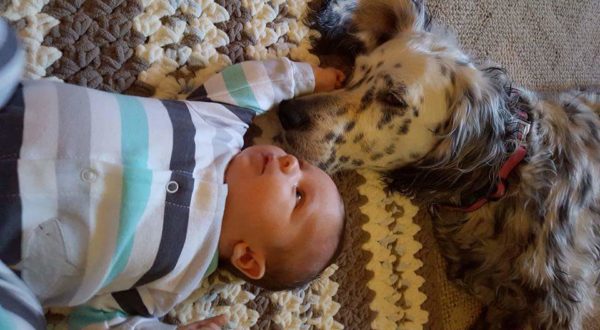 The Love of a Dog | Duluth Moms Blog