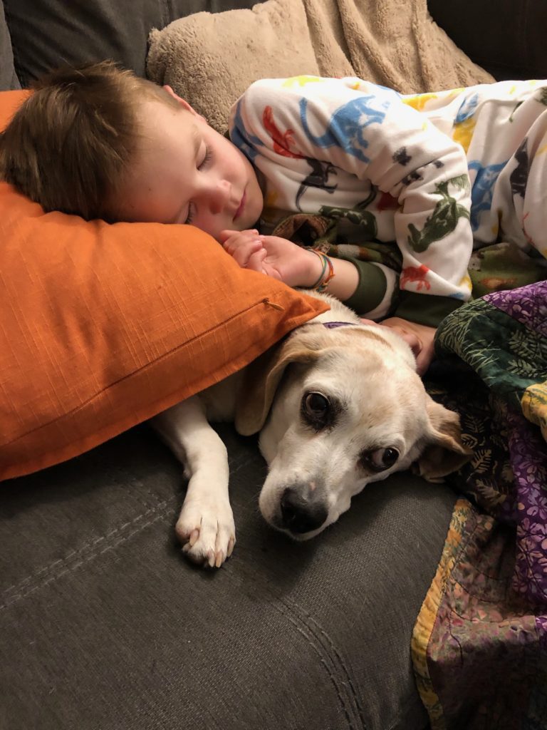 Don't Ditch the Dog: Your Children Will Thank You | Duluth Moms Blog