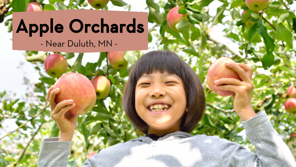 Apple Orchards Near Duluth + Recipes!