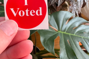 Voting A Family Tradition | Duluth Mom